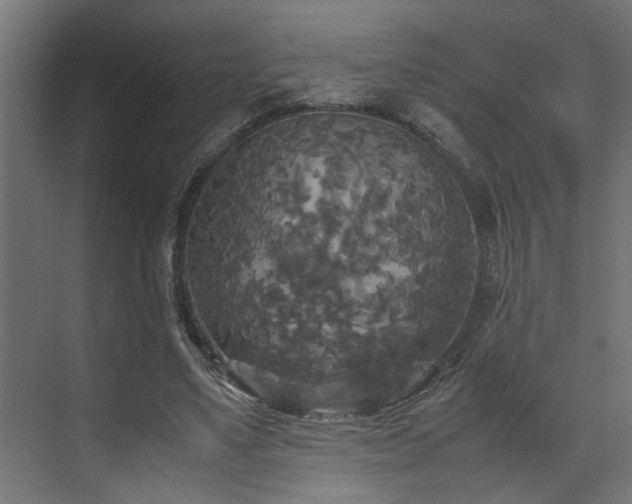 X0000072520491200607141202