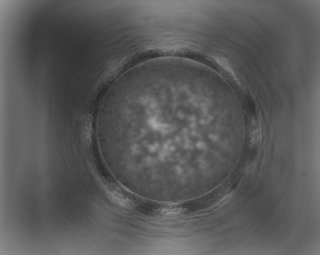 X0000072520495200607141201