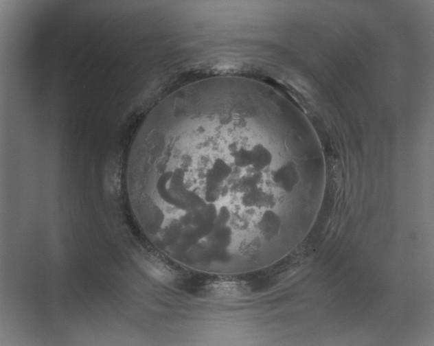 X0000072520499200607141201