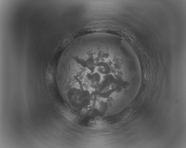 X0000072520503200607141201