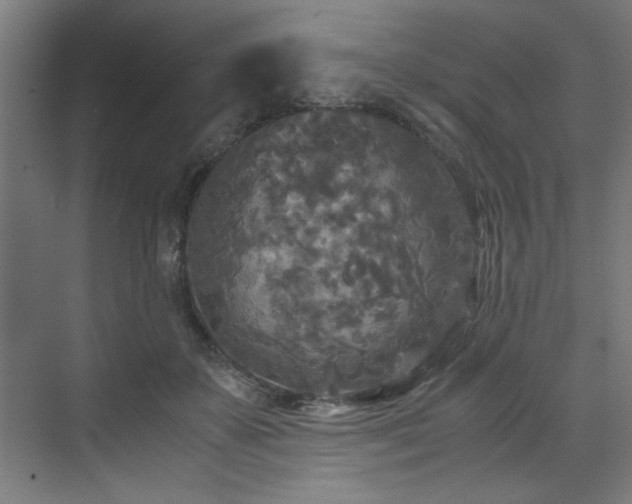 X0000072520507200607141201