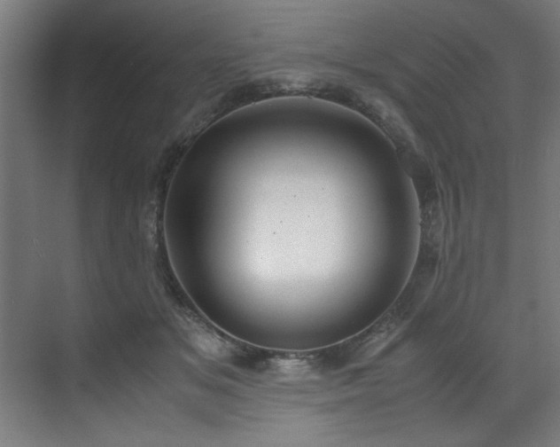 X0000072520509200607141201