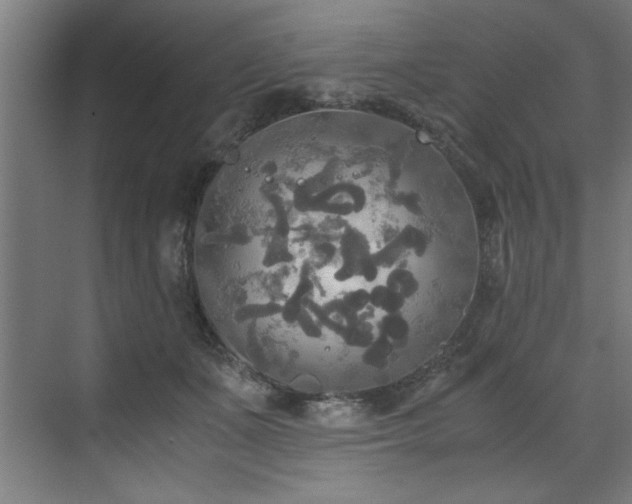 X0000072520511200607141201