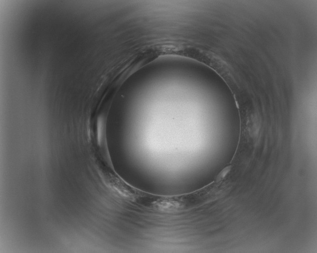 X0000072520512200607141201