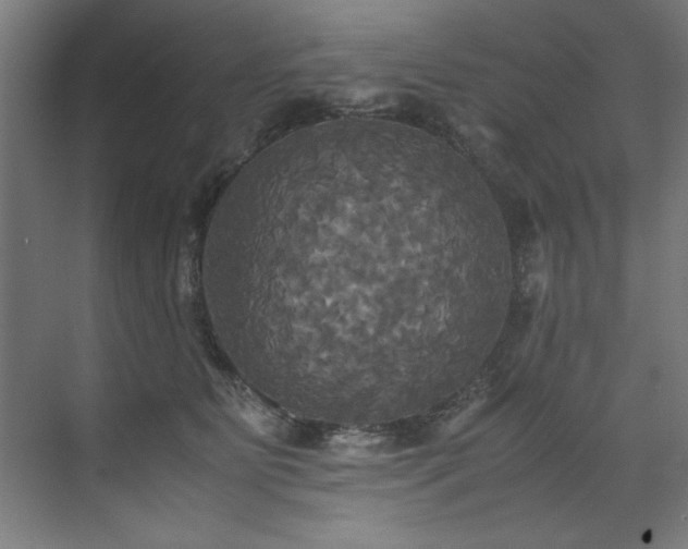 X0000072520515200607141201