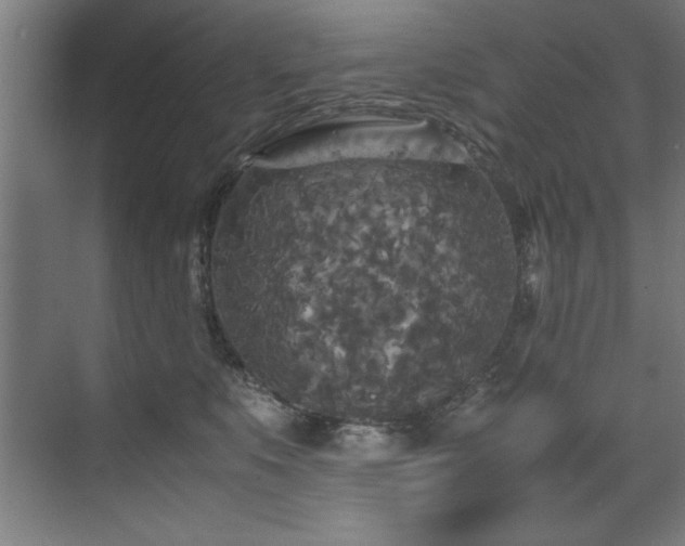 X0000072520519200607141201