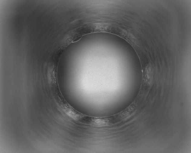 X0000072520522200607141201