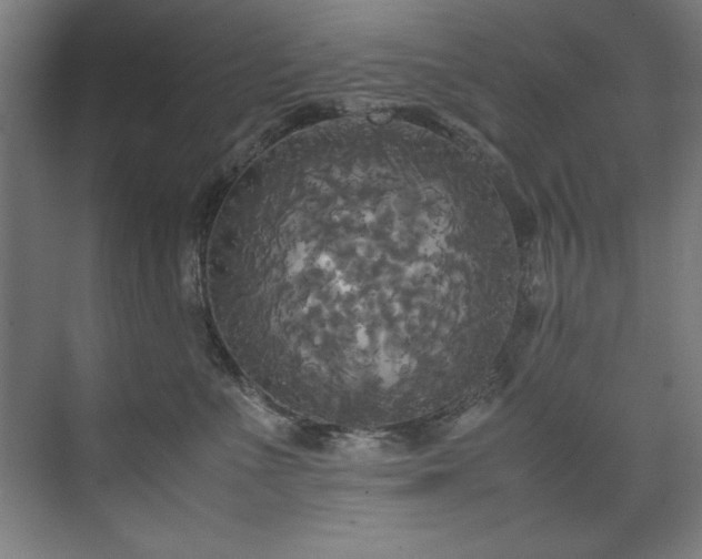 X0000072520523200607141201