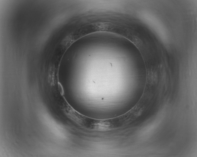 X0000072520525200607141201