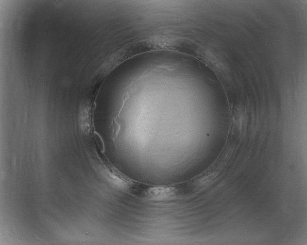 X0000072520526200607141201