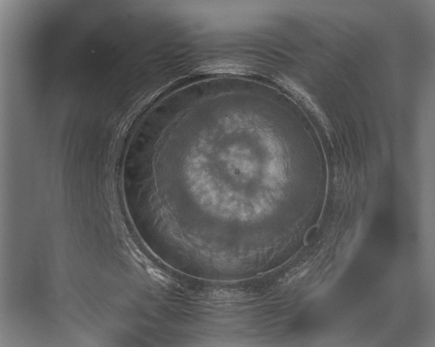 X0000072520529200607141200