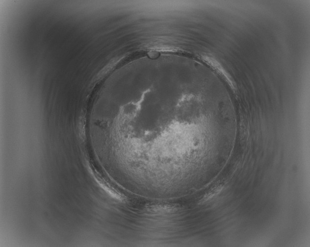 X0000072520533200607141200