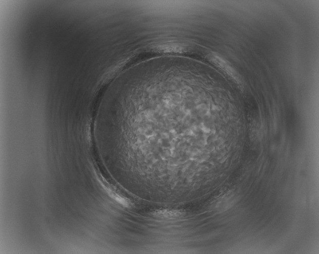 X0000072520537200607141200