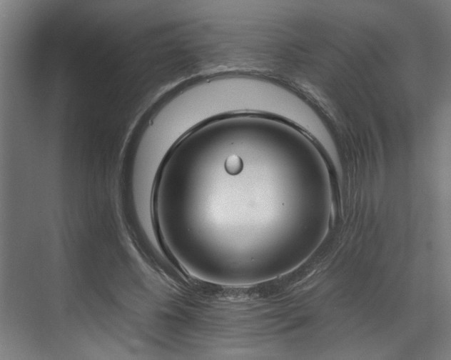 X0000072520540200607141200