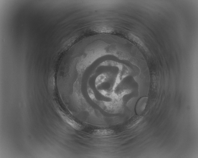 X0000072520541200607141200