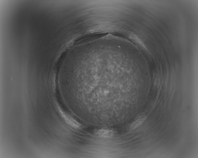 X0000072520542200607141200