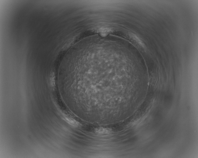 X0000072520549200607141200