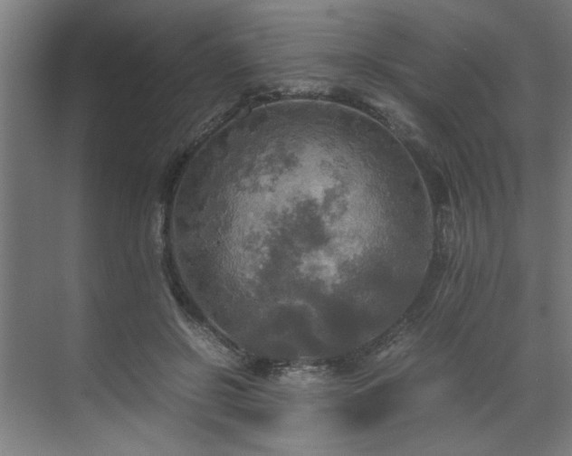 X0000072520550200607141200