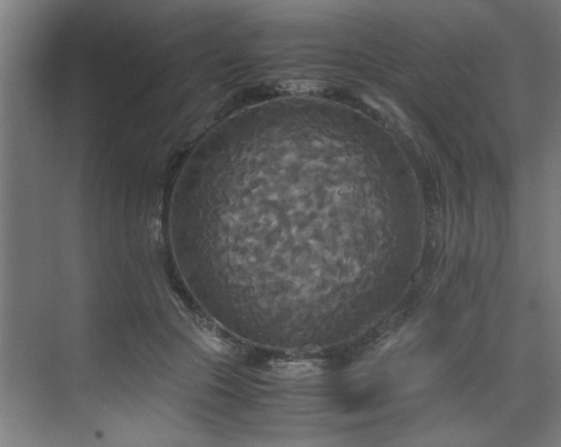 X0000072520553200607141200