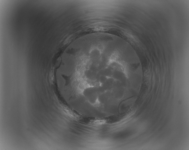 X0000072520554200607141201