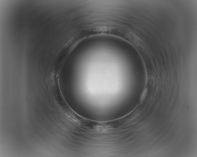 X0000072520556200607141201