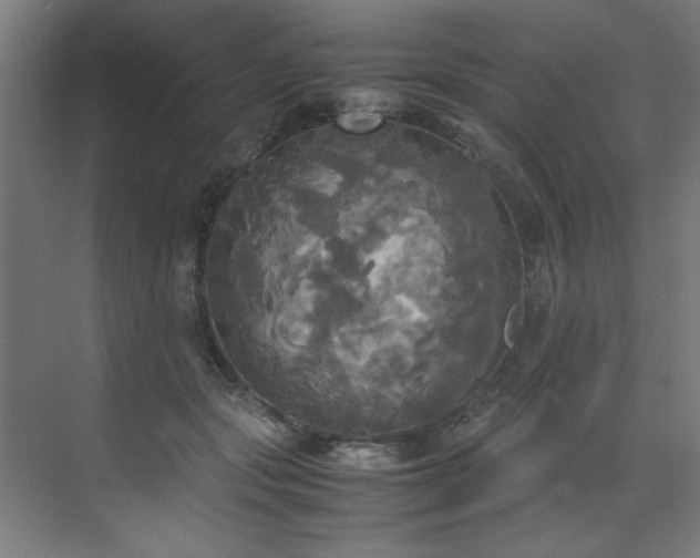 X0000072520557200607141201