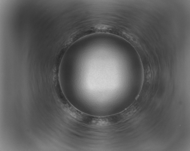 X0000072520559200607141201