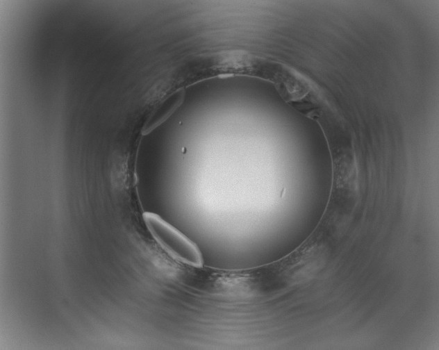 X0000072520560200607141201