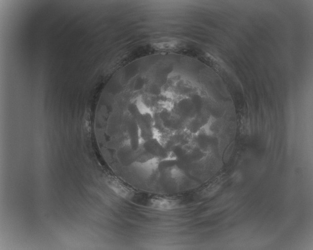 X0000072520561200607141201