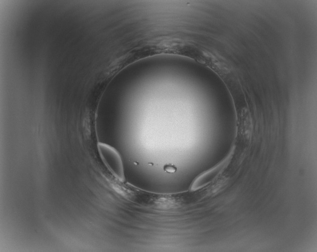 X0000072520562200607141201