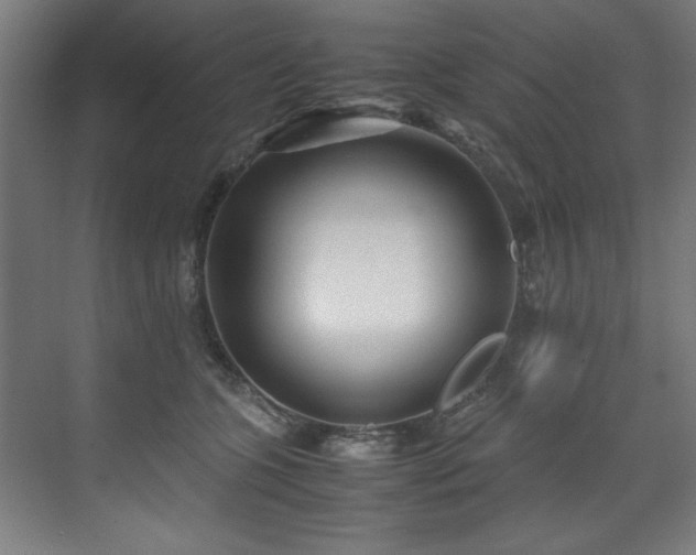 X0000072520563200607141201