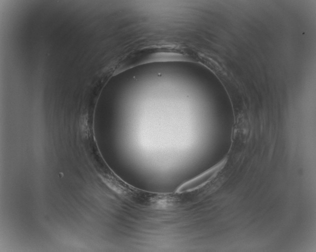 X0000072520564200607141201