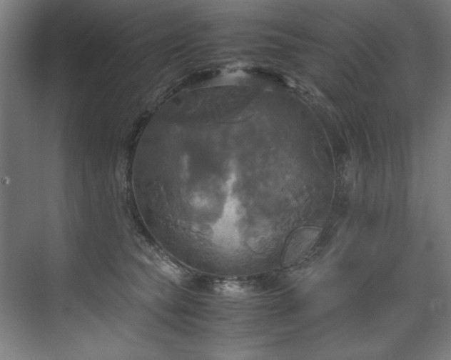 X0000072520565200607141201