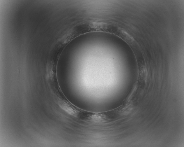 X0000072520566200607141201