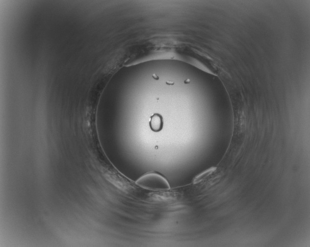 X0000072520567200607141201