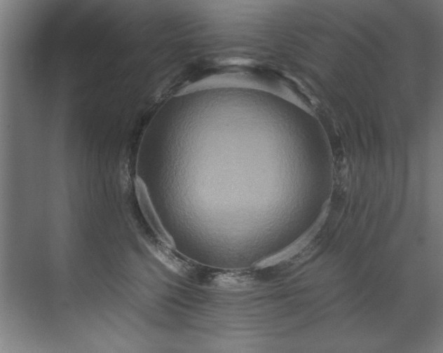 X0000072520568200607141201