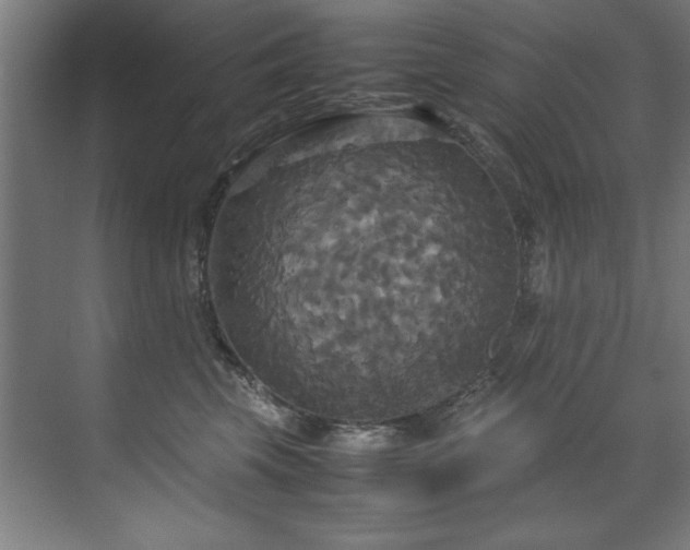 X0000072520569200607141201