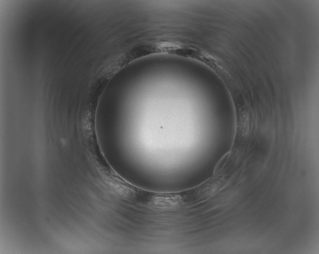 X0000072520571200607141201