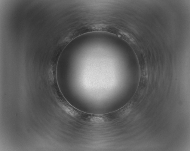 X0000072520572200607141201