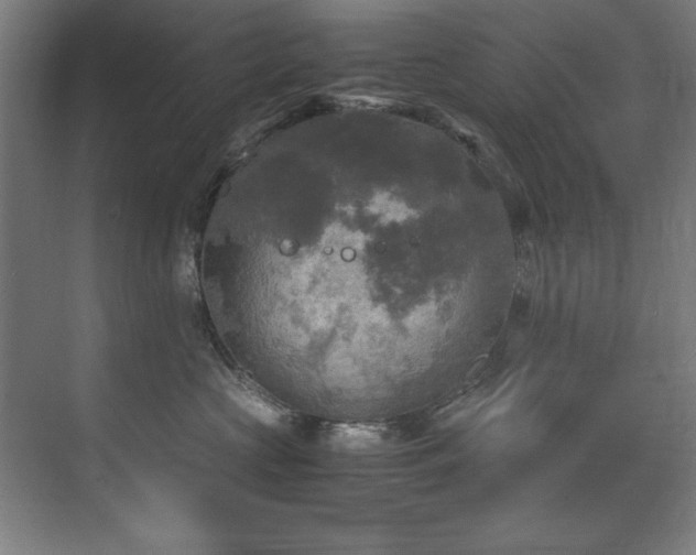 X0000072520573200607141201