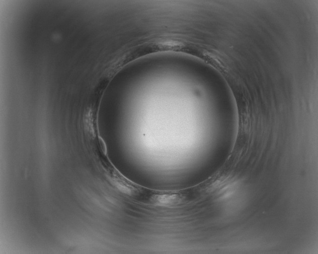 X0000072520575200607141201