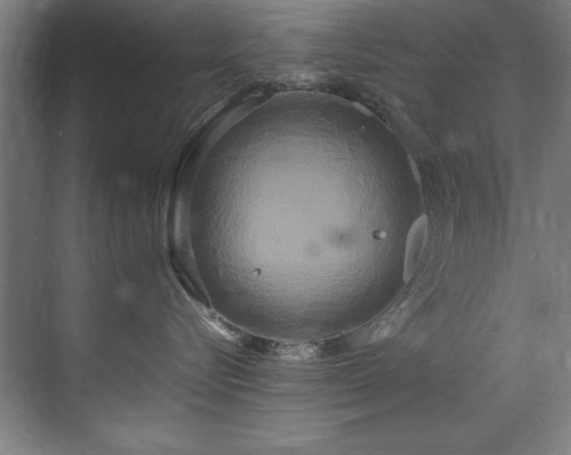 X0000072520576200607141201