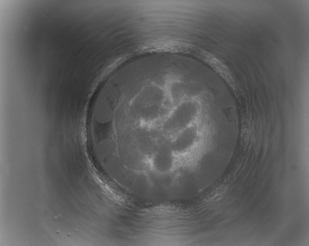 X0000072520578200607141200