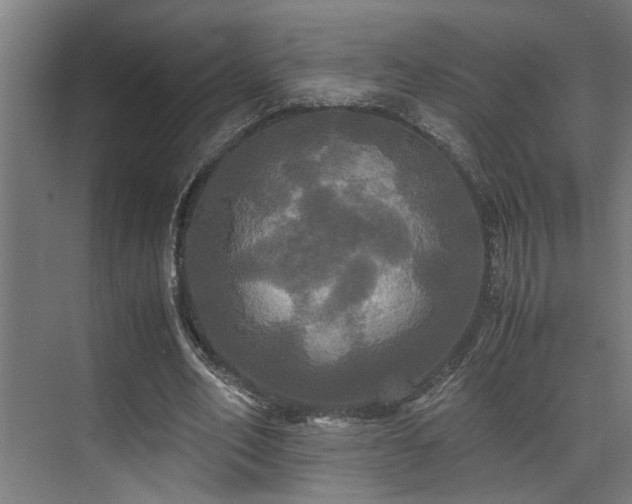 X0000072520582200607141200