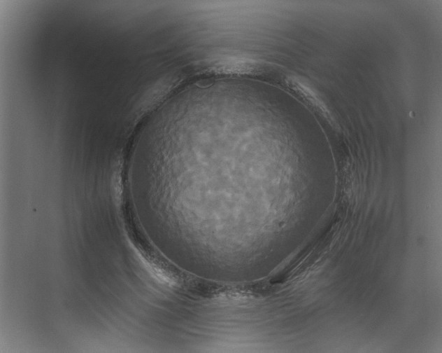 X0000072520586200607141200