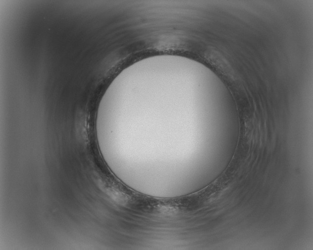 X0000072520592200607141200