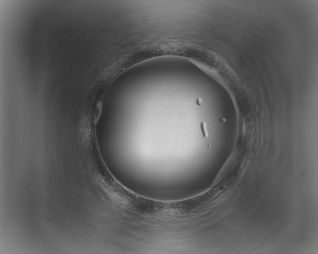 X0000072520593200607141200