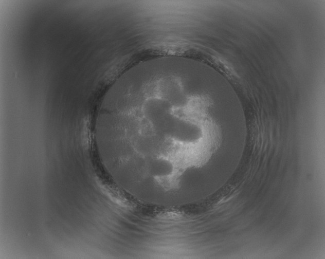 X0000072520594200607141200