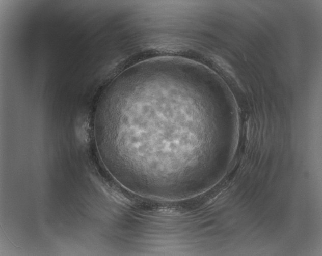 X0000072520596200607141200