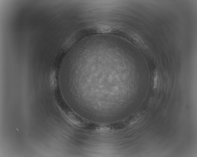 X0000072520598200607141200